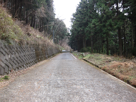 20190214hike (22)
